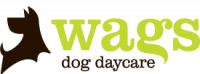 Wags Dog Daycare | Dog Daycare in Sutton Coldfield, UK